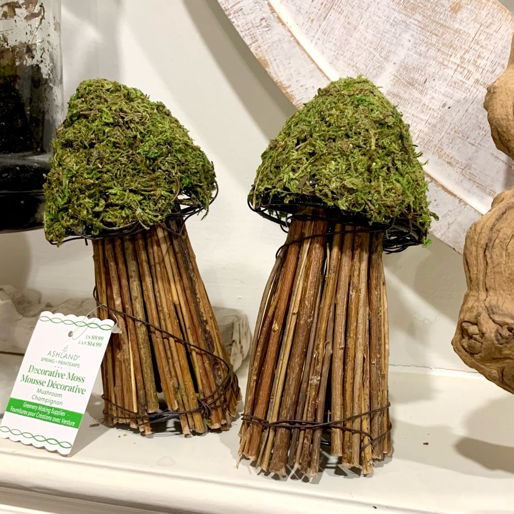 NWT Wicker & Moss Mushrooms - Picture 1 of 3